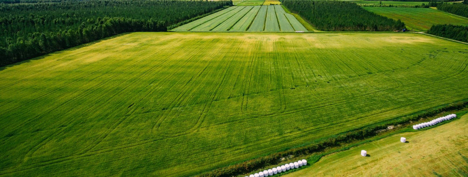 Eesti, riik, mis on tuntud oma rikkalike loodusvarade ja viljakate maade poolest, on põllumajanduses pikaaegsete traditsioonidega. Sektor mängib olulist rolli r