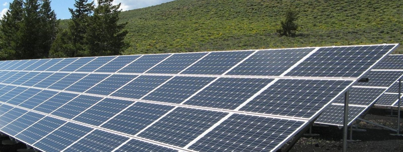 Meie ettevõte, Taastuvenergia pakub parimat päikesepaneelide valikut Eestis. Esindame maailma suurimat päikesepaneelide tootjat - Q CELLS. Q CELLS on 20-aastase