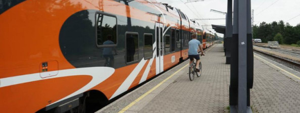 Elroni ratta ja rongi kombineerimise arvamusuuring