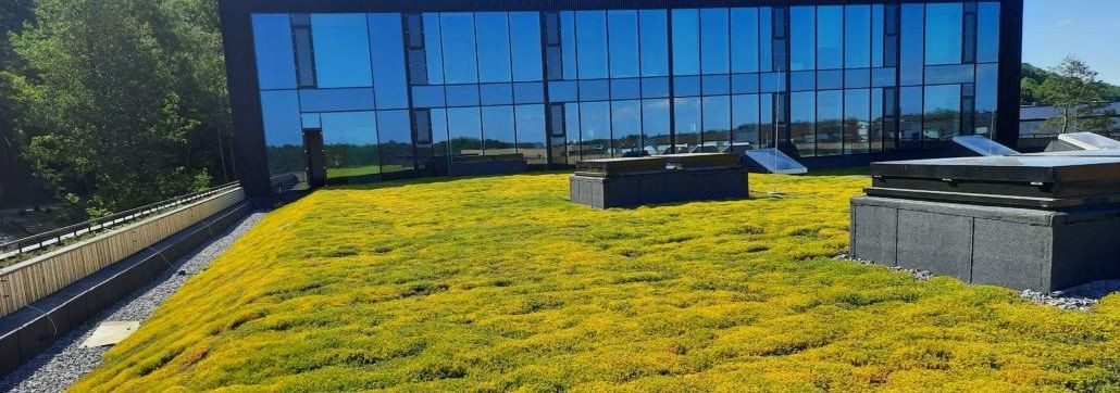 We create a link between buildings and wildlife by transforming roofs and facades into green soils that help buildings to function better and improve the qualit