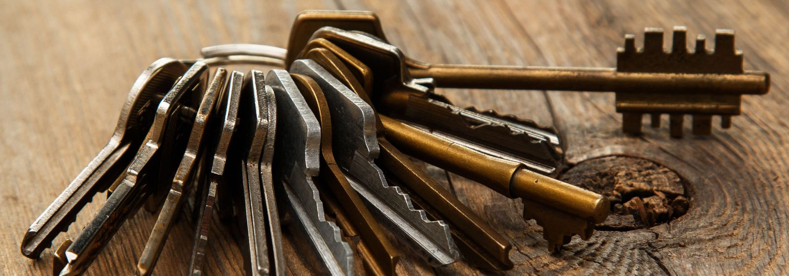 0X4574746576C3B5747465206C756775_12100448_m_xl.jpeg