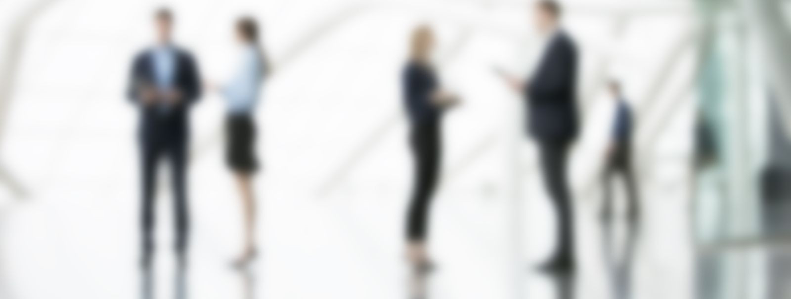 HSEE Consulting on rahvusvahelise kogemusega nõustamisettevõte, mille eesmärk on aidata ettevõtetel kasvada, efektiivistuda ja tegutseda kindlustundega kiiresti