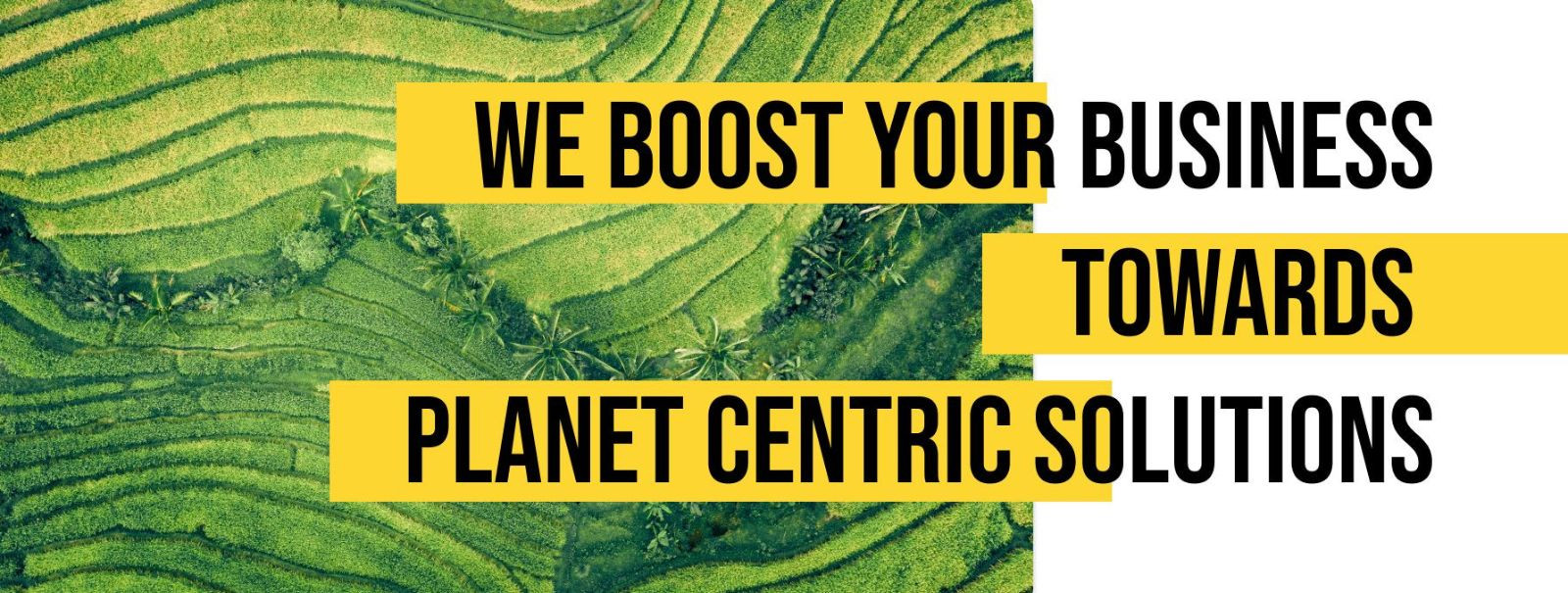 Welcome to Sprint for Planet OÜ, where our mission is to transform your business into a beacon of sustainability. In a world where the environment demands our i