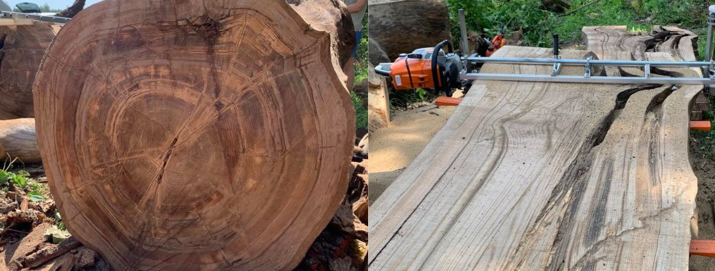 Welcome to KK Forest OÜ, where our passion for nature meets our commitment to quality craftsmanship. Our mission is to provide comprehensive tree services and p
