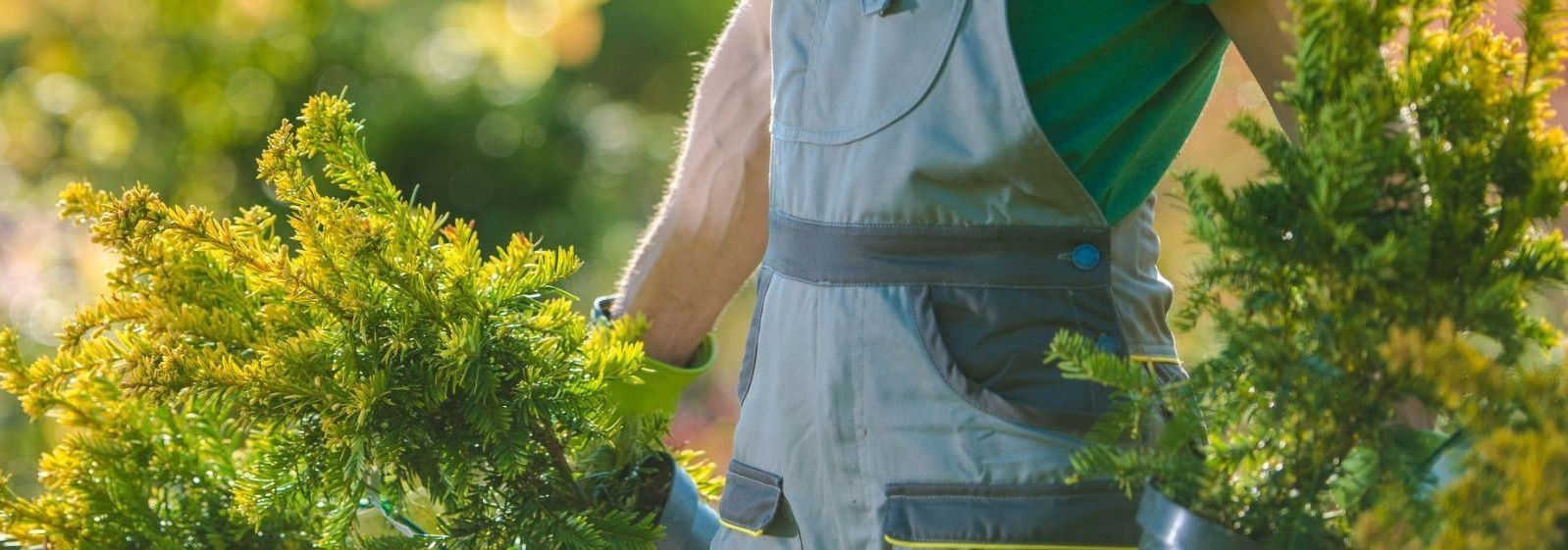 HALDUSKOMBINAAT OÜ usub, et meid ümbritsevad ruumid mõjutavad oluliselt meie igapäevaelu. Seetõttu oleme pühendunud pakkuma esmaklassilist haljasalade hooldust,