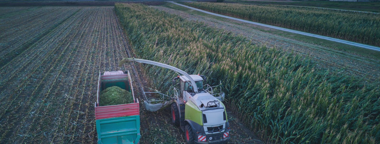 RAIGO LEMBINEN FIE on oma tegevusega keskendunud põllumajandusele ja põllukultuuride kasvatamisele alates 2012. aastast. Ettevõtte algusaegadel oli meie eesmärk