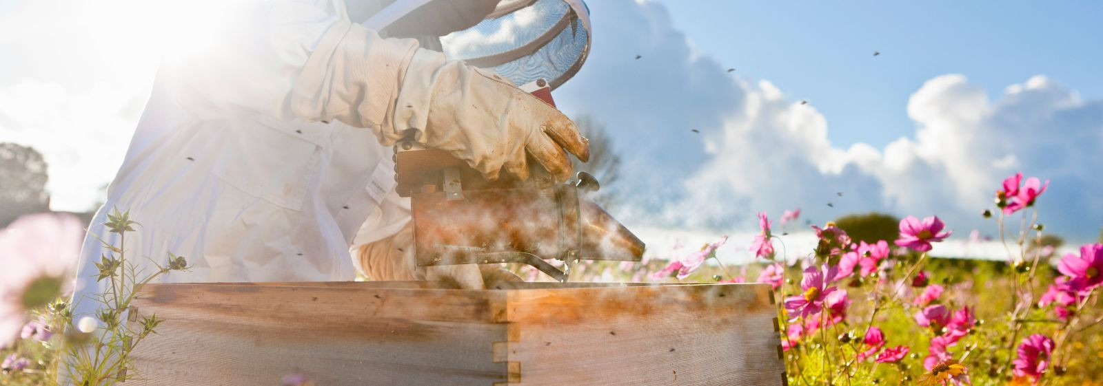 Our company aims to combine caring beekeeping and reliable local movement service to provide people with clean products and a simpler daily life. We value the w