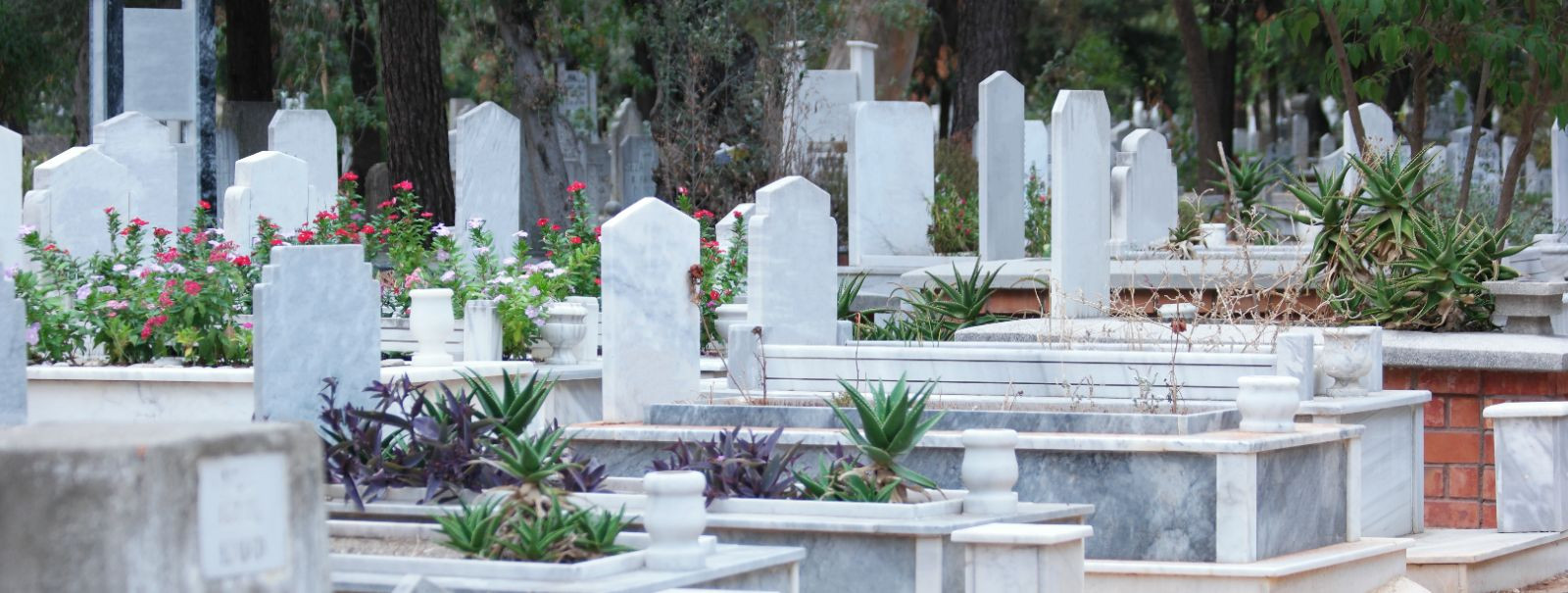 At KALMULA OÜ, we understand that saying goodbye to a loved one is a sacred and personal journey. Our mission is to provide compassionate and comprehensive end-