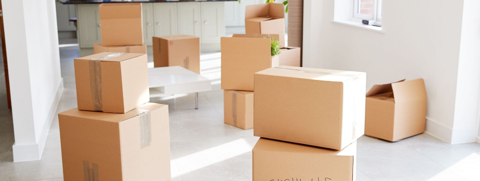 At KOLIMISTEENUSED OÜ, we believe that moving is not just about transporting items from one place to another; it's an art form that requires precision, care, an