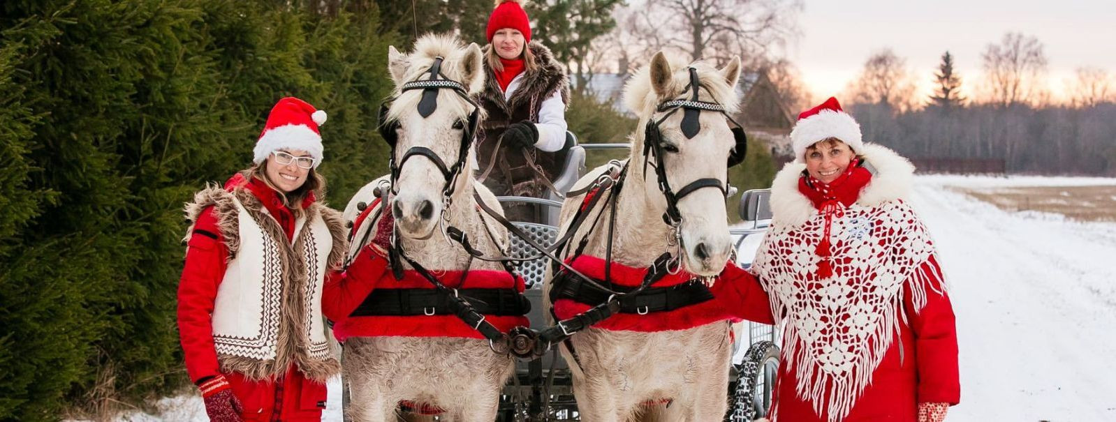 Huskypark OÜ on unikaalne Raplamaal asuv elamuspark, mis pakub oma külastajatele meeldejäävaid kogemusi põhjamaise looduse ja kelgukoerte maailmas. Meie südamek