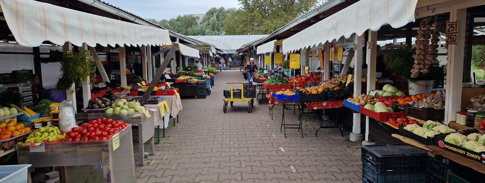 Tartu Turg on Lõuna-Eesti pikkade traditsioonidega kaubanduskultuurihoidja ja arendaja. Koostöös väiketootjate-kauplejatega ja käsitööliste ningtaimekasvatajate