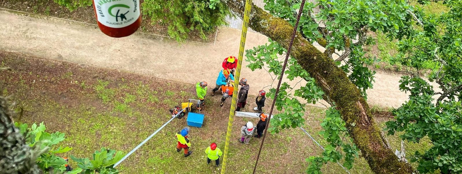 Arbre OÜs usume, et elu olemus on sügavalt juurdunud meid ümbritsevasse rohelusse. Meie kirg puid ja keskkonda vastu on võrdne ainult meie pühendumusega meie ko