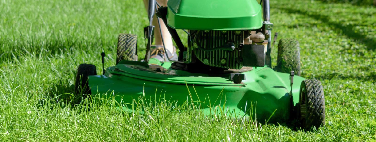 At NOVAGREEN OÜ, we believe that a pristine lawn and a vibrant garden are the cornerstones of a beautiful outdoor space. Our mission is simple yet profound: 'We