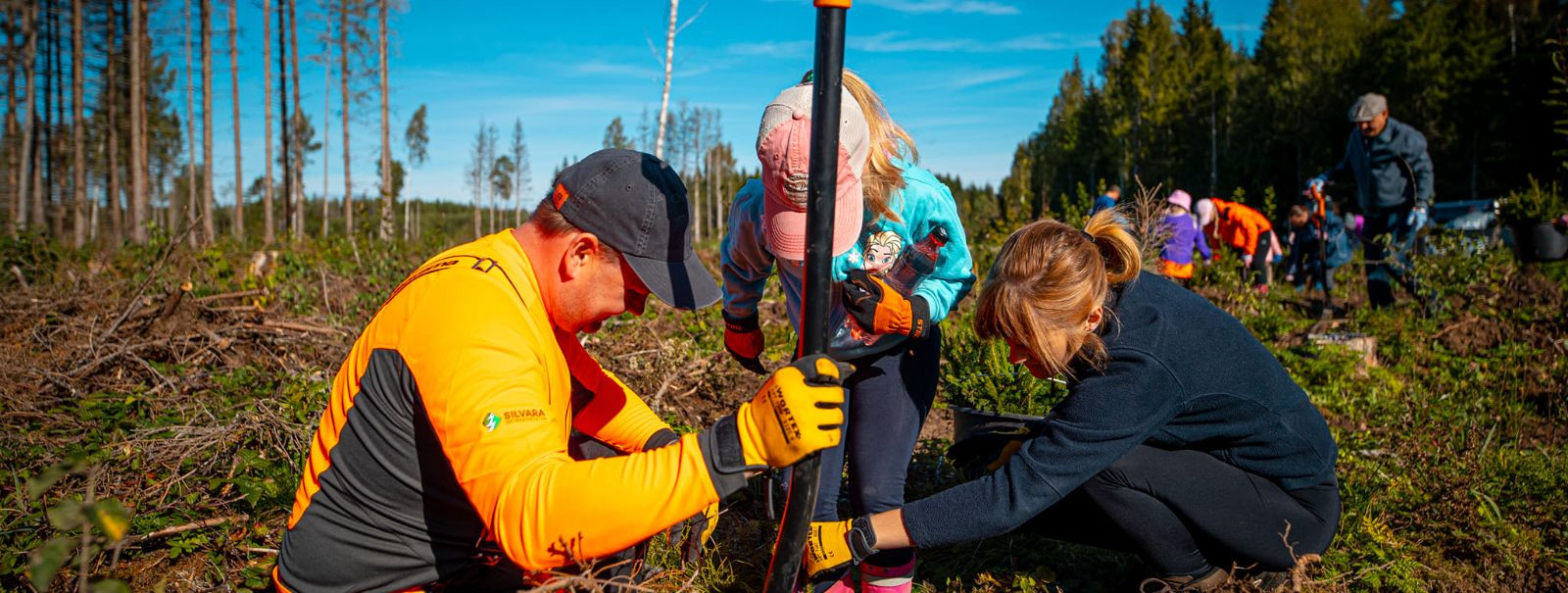 Silvara OÜ on tõeline metsanduse pioneer, mille juured ulatuvad sügavale Jõgevamaa metsadesse. Alates 2012. aastast oleme pühendunult edendanud jätkusuutlikku m