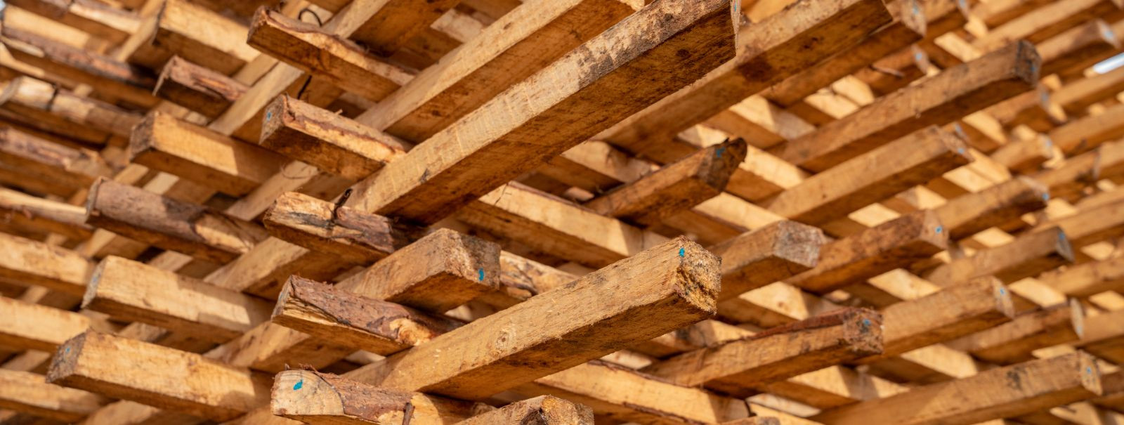 At the heart of the construction and logistics industries lies a material that is both timeless and essential - timber. Recognizing the pivotal role it plays, R