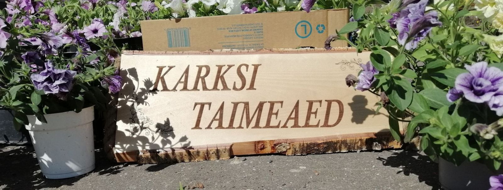 Welcome to a world where the verdant beauty of nature is nurtured with passion and precision. At KARKSI TAIMEAED OÜ, we don't just cultivate plants; we cultivat