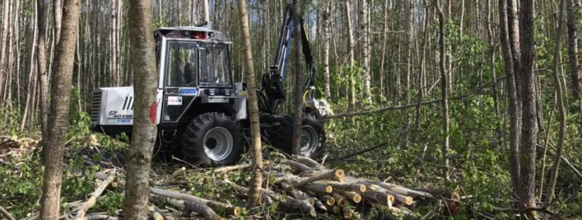 Harvendusraie on tõhus ja võimas metsamajandusvahend, mis soodustab ...