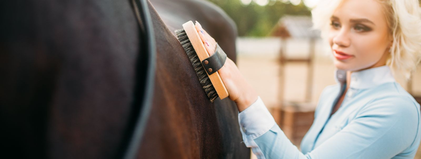 Hobuste hooldamine ei ole ainult hobuse hea väljanägemise tagamine; see on hobusehoolduse põhiline aspekt, mis edendab tervist, võimaldab regulaarseid terviseko