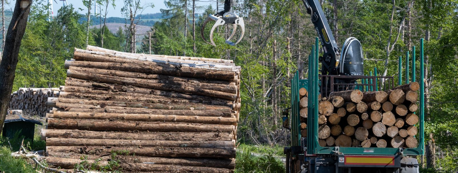 Sustainable forestry is a critical component of environmental conservation, aiming to manage forest resources in a way that meets current needs without compromi