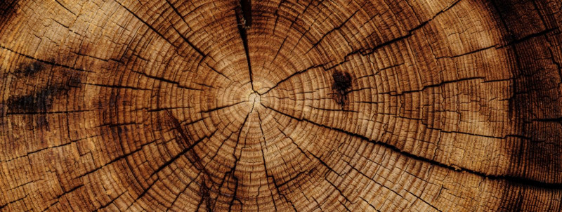 Jätkusuutlik puit:  valik keskkonnasõbralike interjööride jaoks