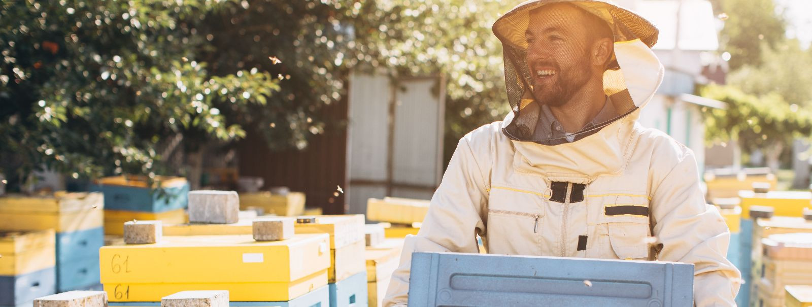 Jätkusuutlik mesindus on lähenemine, mis rõhutab mesilaste ...