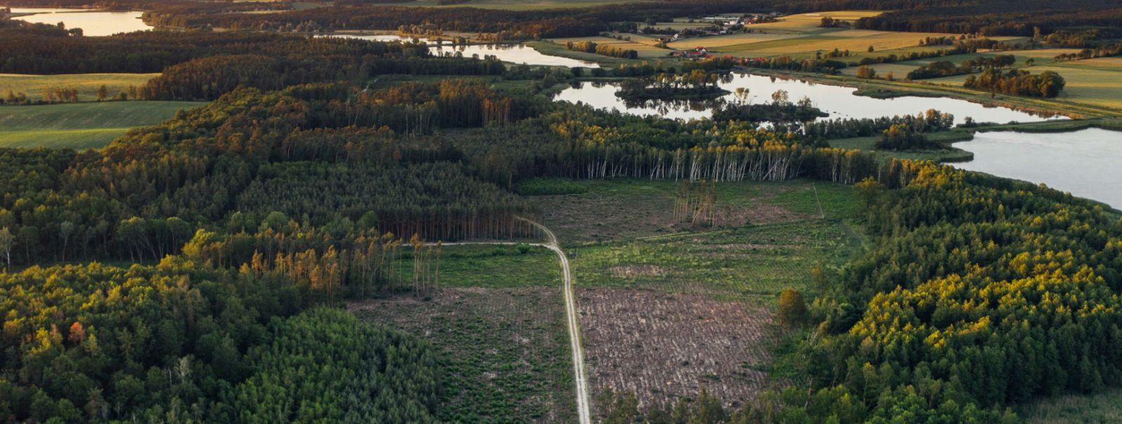 Eesti, oma rikkalike metsadega, mis katab enam kui pool riigist, on pikka aega olnud jätkusuutliku metsanduse praktikate eesrindel. Majanduskasvu ja keskkonnaka