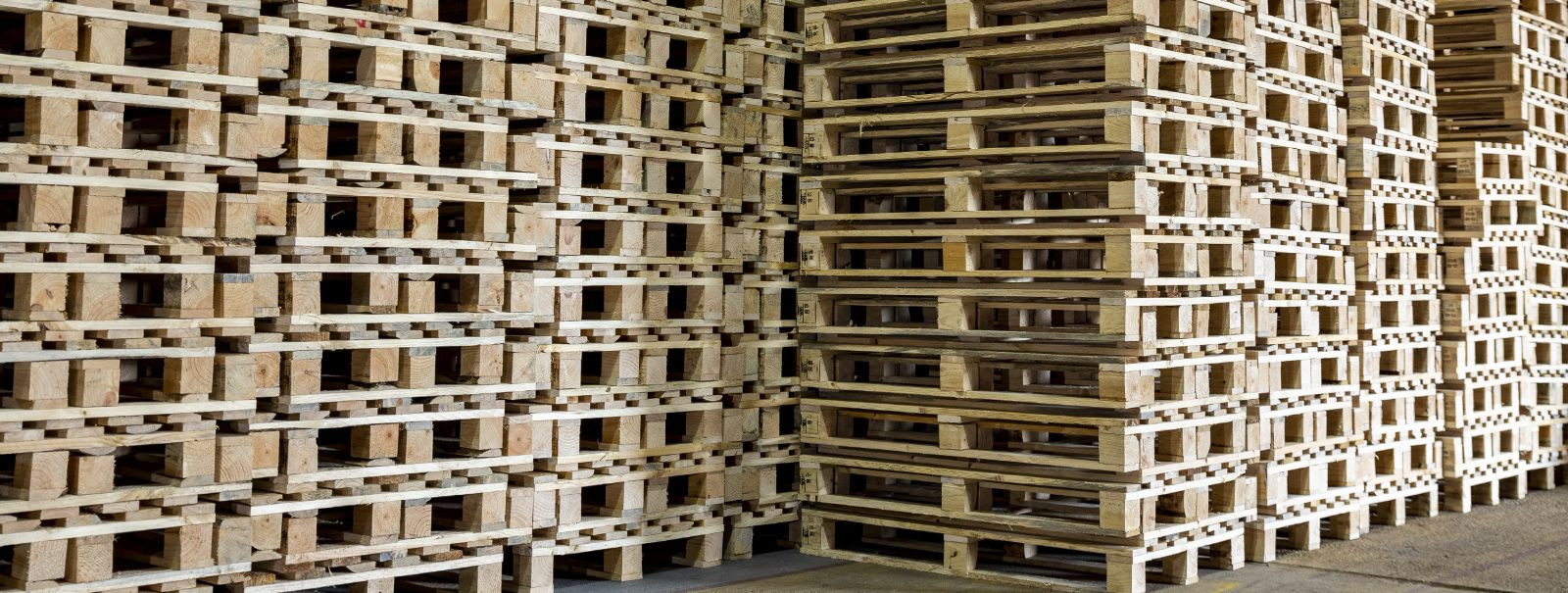 Sissejuhatus  Osaühing Kastoram Wood registreeriti Äriregistris 19.04.2011.aastal. Osaühingu põhitegevuseks on puittaara ja puidust kaubaaluste tootmine.  Tulud