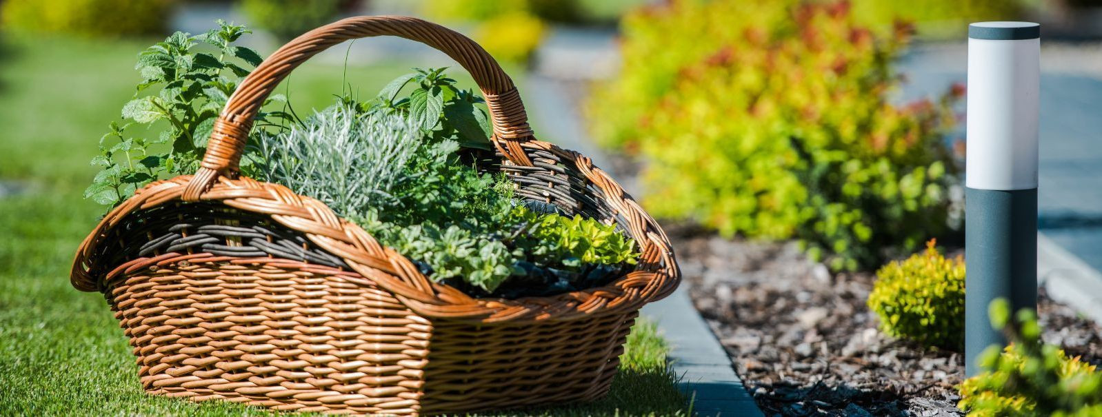 Maastikuehitus ei ole lihtsalt mõne põõsa istutamine ja muru paigaldamine. See on keerukas kunst, mis ühendab aiandusalaseid teadmisi disainipõhimõtetega ja ehi