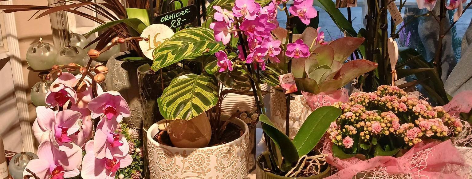 Kas otsid viisi, kuidas lisada oma elule rohkem ilu ja rõõmu? Kas soovid üllatada kedagi erilise kingitusega või luua unustamatu atmosfäär olulise sündmuse jaok