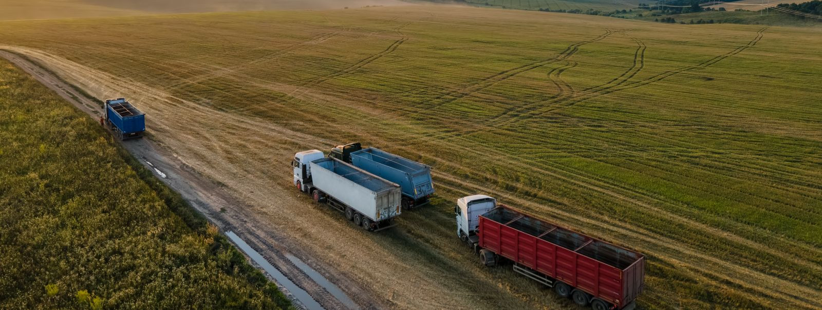 Estonia's strategic location as a gateway between East and West has historically positioned it as a hub for international freight transport. With a robust netwo