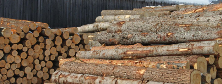 Kevetra OÜ - Milliseid teenuseid meie ettevõte teile pakub? 