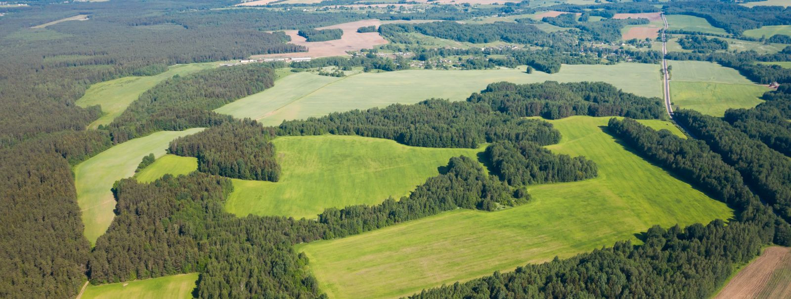 Kinnisvara arendus on dünaamiline ja mitmekesine valdkond, mis hõlmab maade ja hoonete planeerimist, ehitamist ja haldamist. See mängib olulist rolli linna- ja 