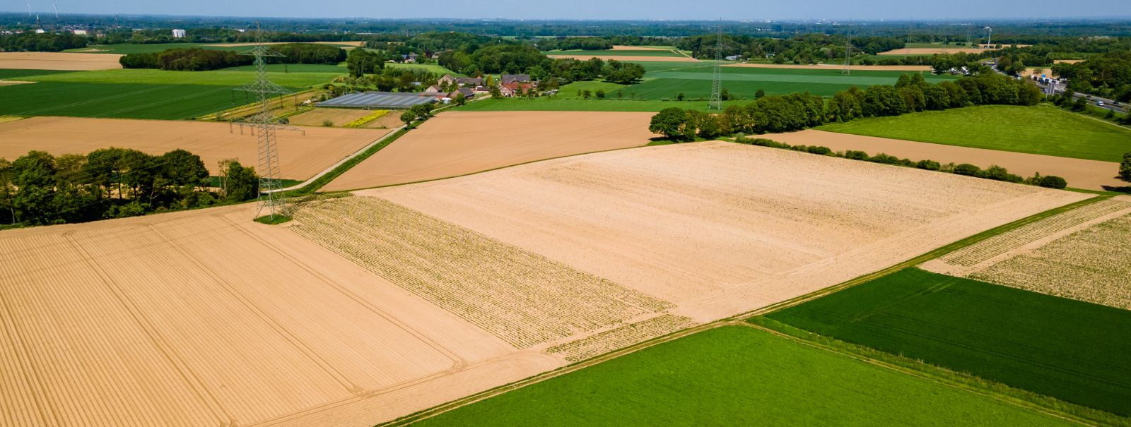 Põllumaa turg kogeb huvi kasvu tänu oma potentsiaalile pakkuda stabiilset tulu ja oma rollile jätkusuutlikus arengus. Investorid vaatavad üha enam põllumaad kui