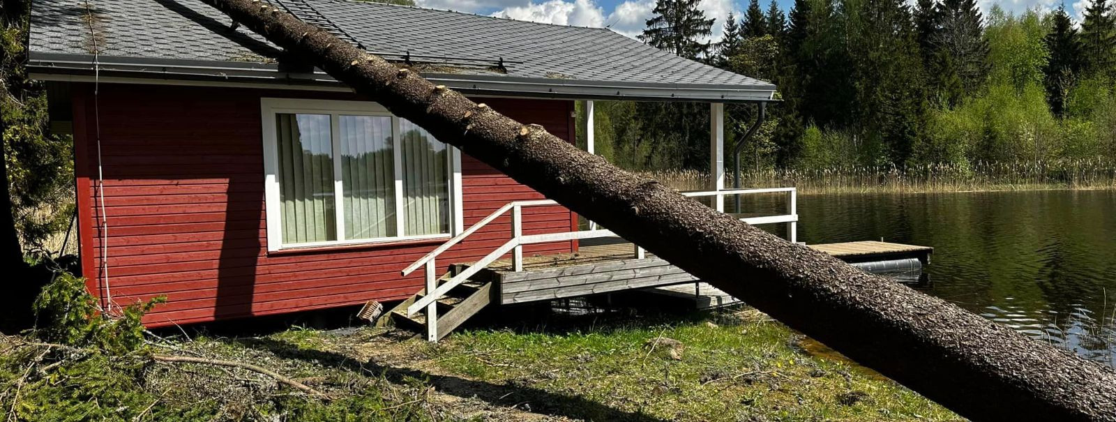 Puude langetamine, eriti kui tegemist on suuruse, seisukorra või asukoha tõttu ohtlike puudega, on kõrge riskiga tegevus, mis nõuab hoolikat kaalutlemist ja pla