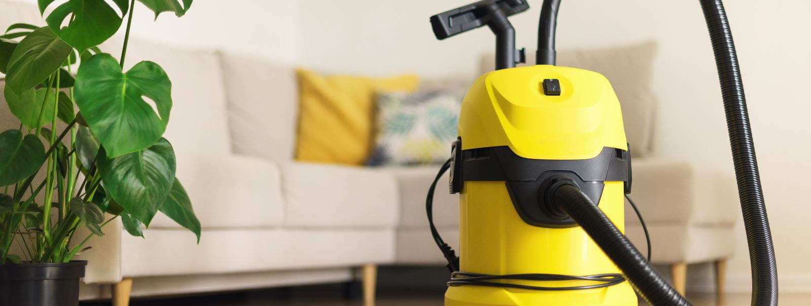 Textile cleaners are specialized equipment designed to clean various types of fabrics found in homes and commercial spaces. These include carpet cleaners, uphol