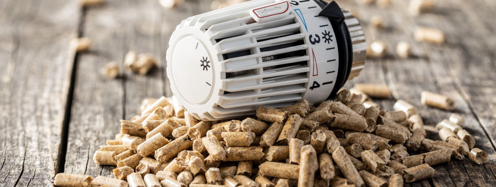 Pelletküte on keskkütte vorm, mis põletab kokkupressitud puidu või biomassi pelleteid, et tekitada soojust elamu- ja tööstusruumide jaoks. See küttesüsteemi tüü