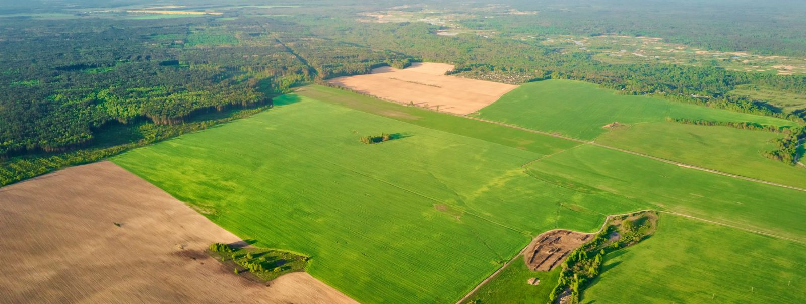 Farmland is more than just a piece of land; it's a valuable asset that can yield significant returns when managed and sold correctly. The intrinsic value of far