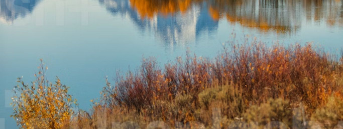 Kuidas näeb välja tiigi rajamine?