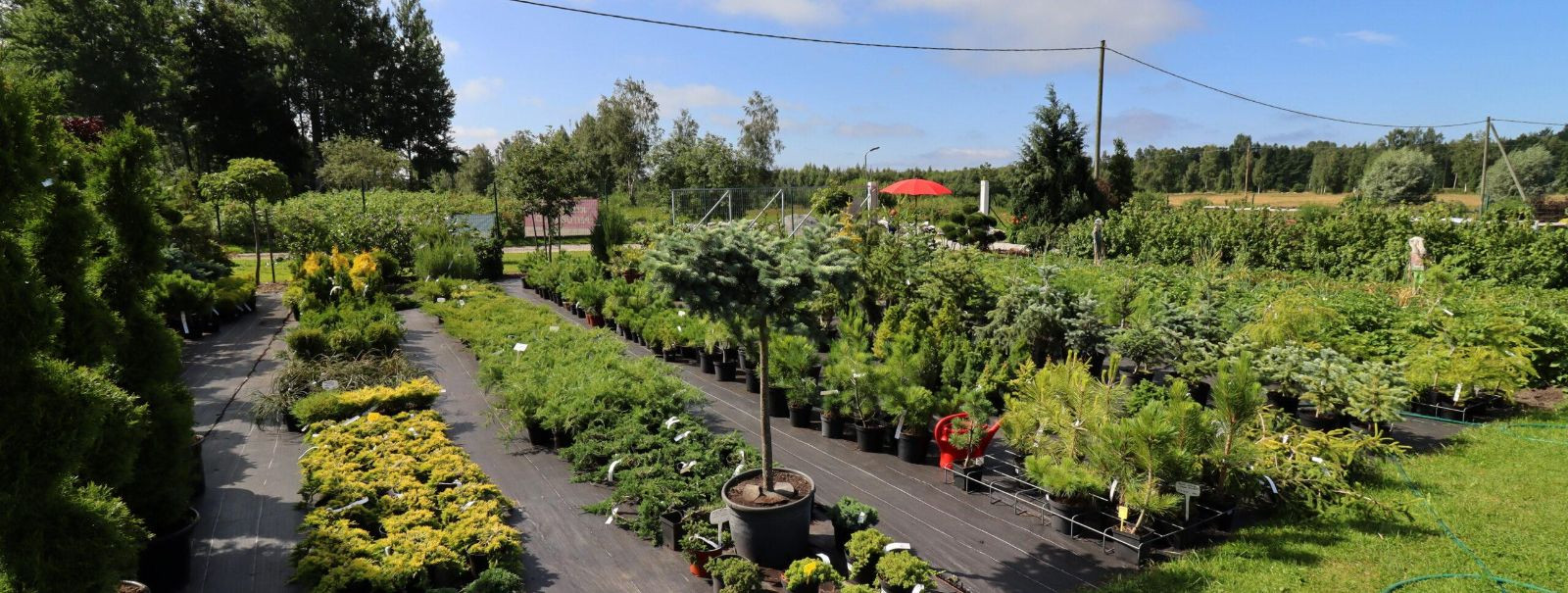 Kaasaegne aednikkond on üha enam pööranud tähelepanu jätkusuutlikkusele, keskkonnasõbralikkusele ja looduslähedastele praktikatele. Jätkusuutliku aia planeerimi