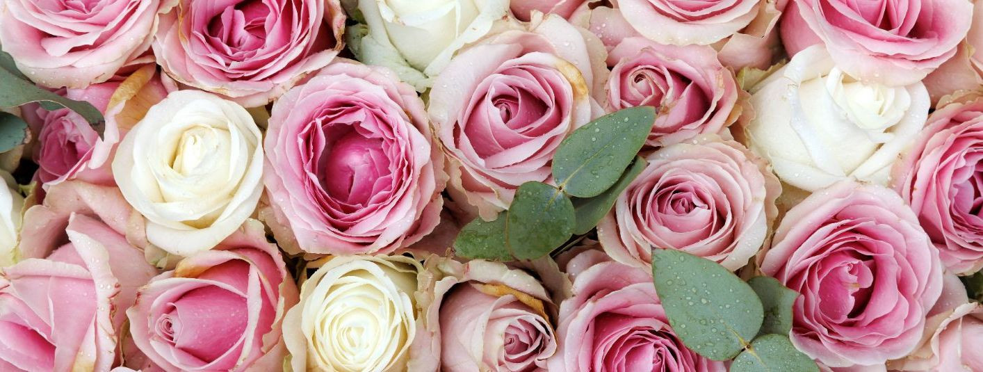 Pulmapäev - päev, mis on täidetud armastuse, naeru ja lootusega. ...