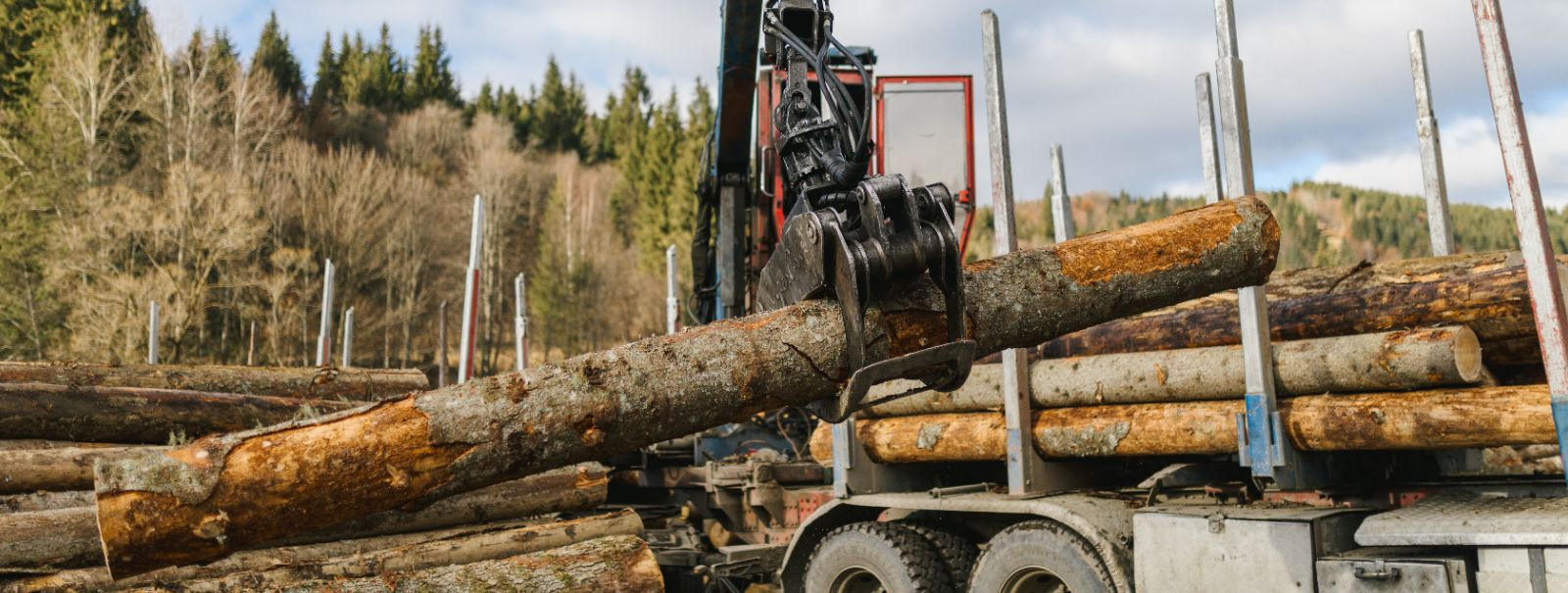 Kuna maailm keskendub üha enam jätkusuutlikkusele, on metsandussektor ...