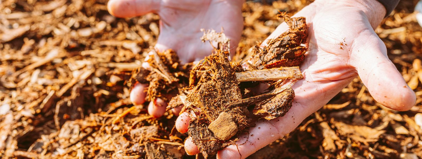 Multš on materjalikiht, mida kantakse mulla pinnale. Selle eesmärk on säilitada niiskust, parandada mulla viljakust ja tervist, vähendada umbrohu kasvu ning suu