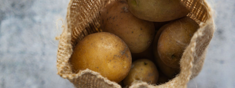 Kuidas säilitada mulla tervist kartulikasvatuses?