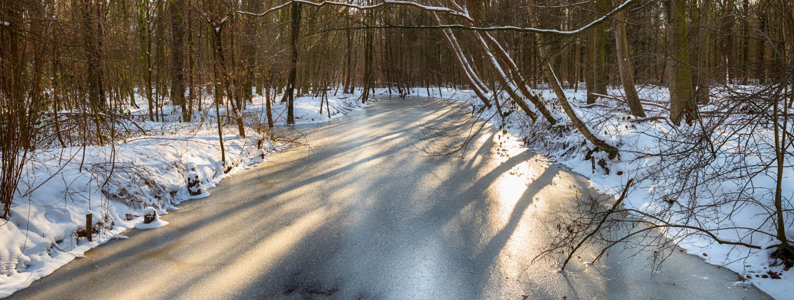 Ensuring the safety of walkways is a critical concern for homeowners and businesses alike. Non-slip surfaces are essential in preventing accidents and injuries,