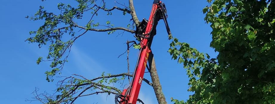 Tree cutting permits are a crucial part of urban and rural landscaping management. They serve as a regulatory measure to ensure that tree removal is done respon