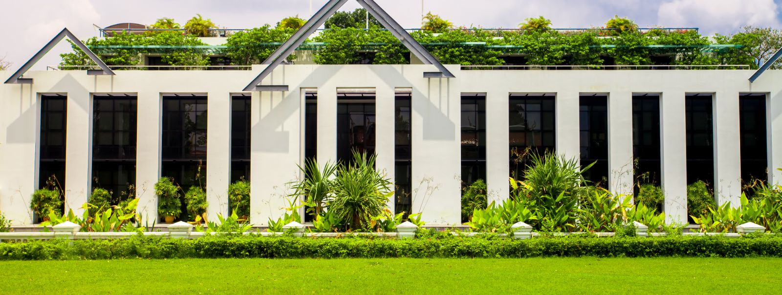 Murukatuste ehitus on roheline katusesüsteem, mis koosneb katusealusest konstruktsioonist, drenaažikihist, filtreerimiskihist, kasvumullast ja taimestikust. Mur