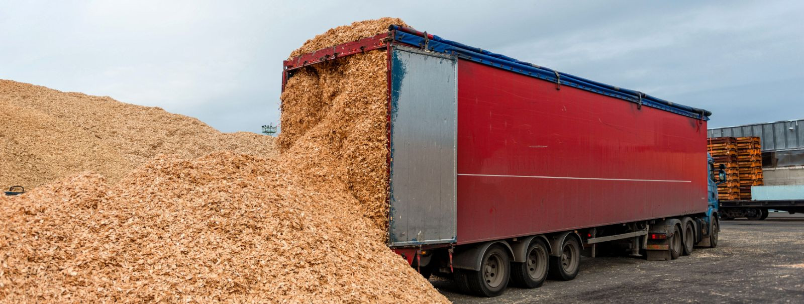 Wood chips are a byproduct of forestry and woodworking industries, commonly used as a biomass fuel, mulch in landscaping, raw material in paper production, and 