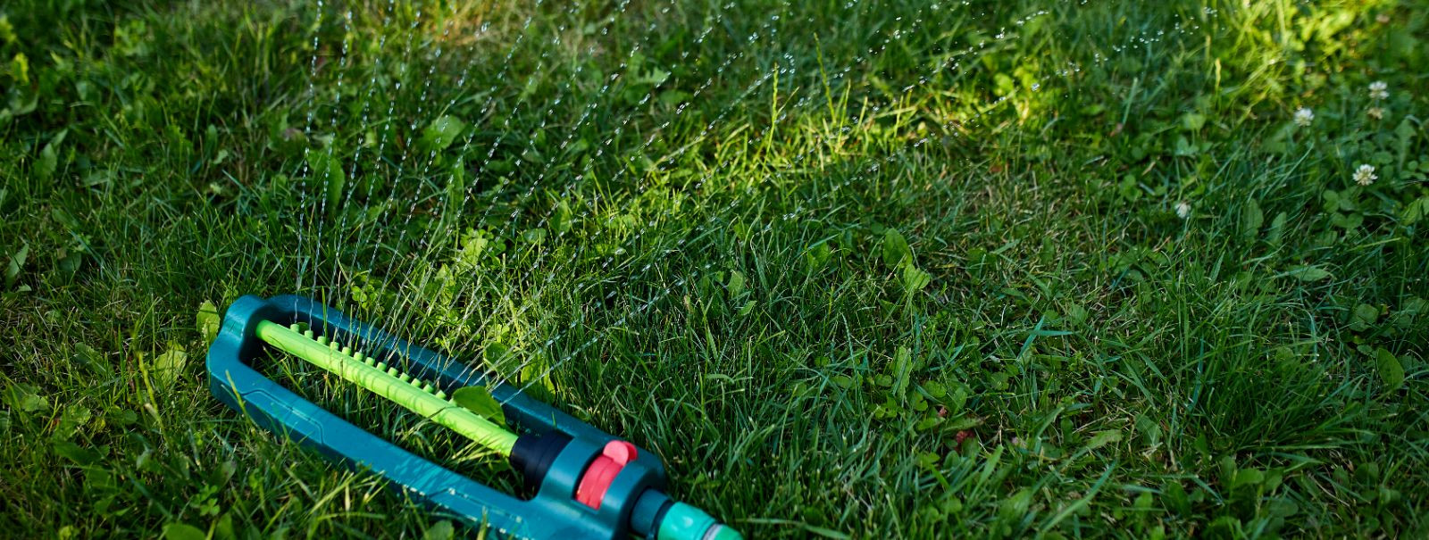 As homeowners and private clients in urban and suburban areas, you understand the value of a well-maintained living space. However, traditional lawn care method