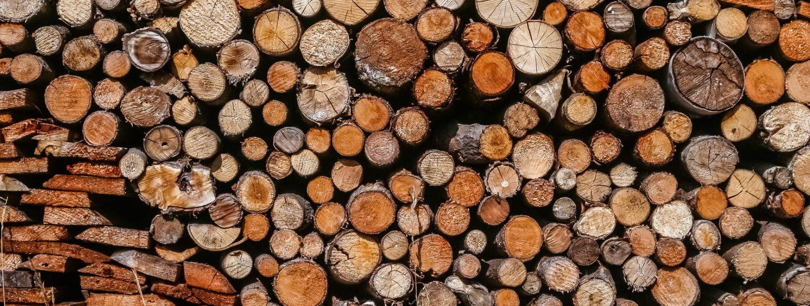 Õige puidu valimine on kriitilise tähtsusega ehitus- ja renoveerimisprojektides. Valitud puidu kvaliteet võib oluliselt mõjutada teie projekti struktuurset terv