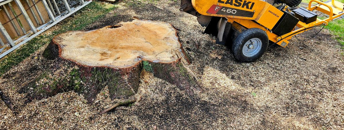 Kui puu on langetatud, jääb tihti järele känd, mis võib takistada aiatöid, rajatiste ehitamist või lihtsalt olla visuaalne ebamugavus. Känd on sageli aastaid la